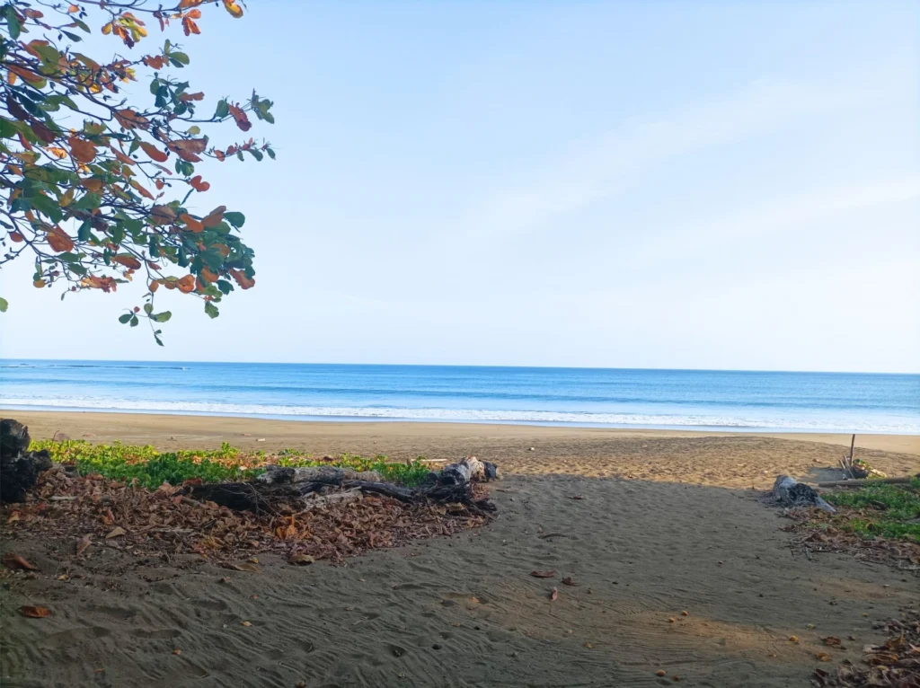 Photo of the beach access